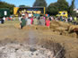 Frogstock Festival
