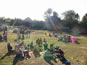 Frogstock Festival