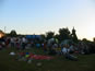Frogstock Festival