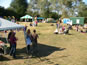 Frogstock Festival